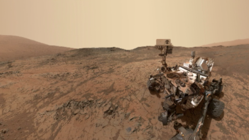 Teleplaneta - 25/02/2019