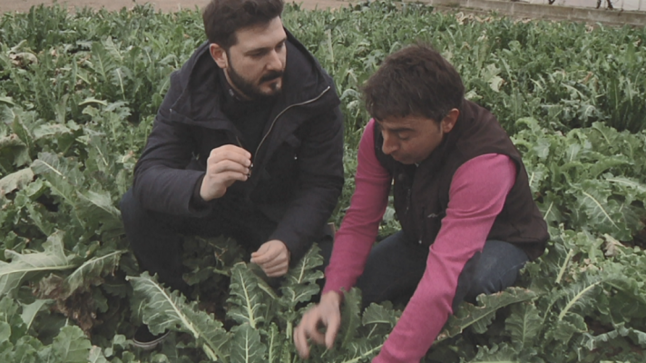 Aquí la Tierra - El bróquil de Huesca