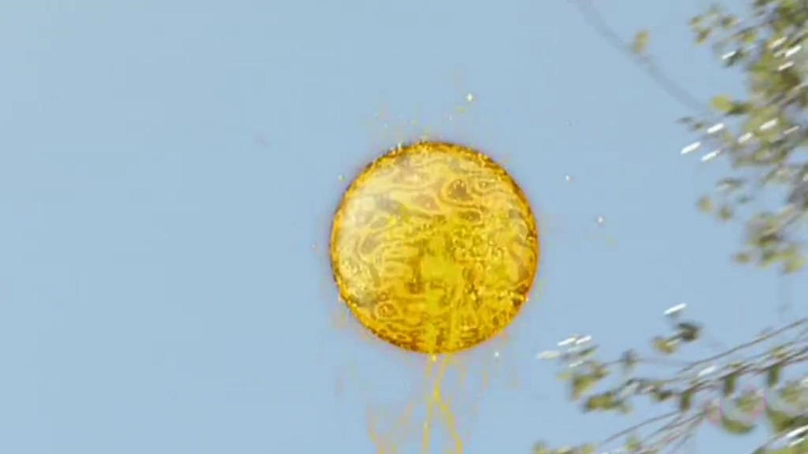 La pelota del genio - Jamillah y Aladdin | Ver