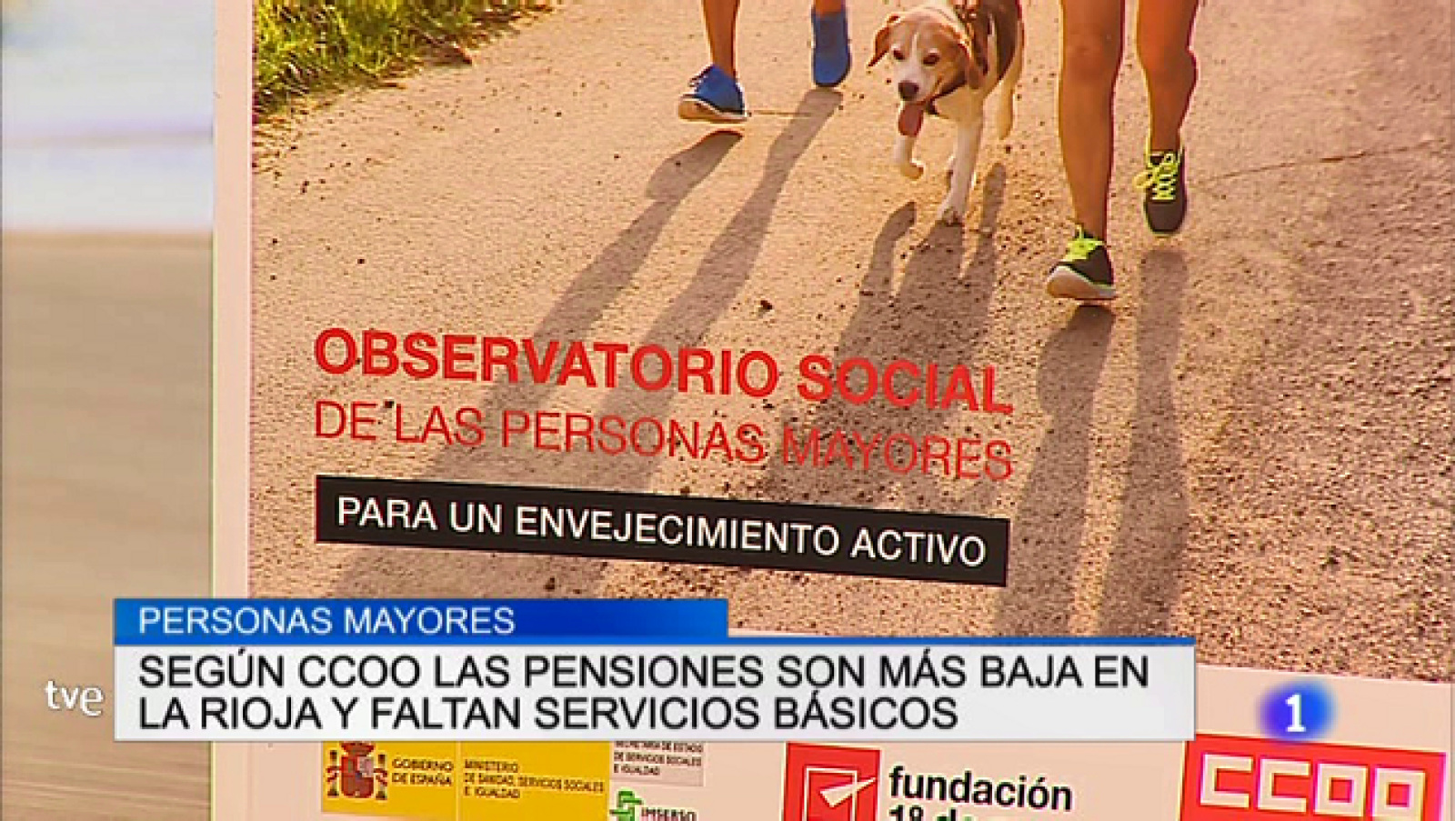 Informativo Telerioja 2 - 26/02/19