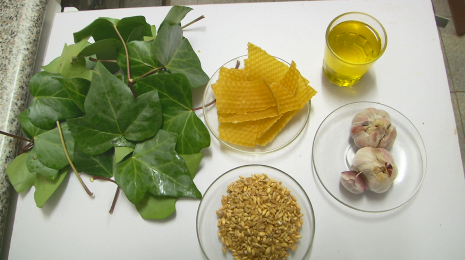 Aquí la Tierra - 26/02/19 - ver ahora