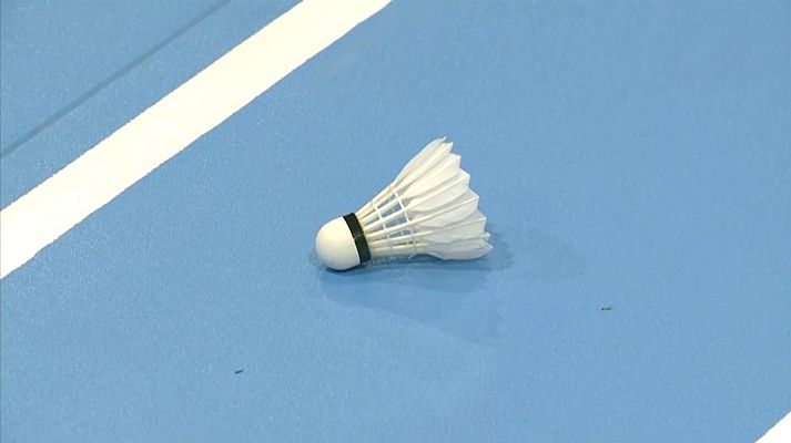 Bádminton - Liga Nacional División de Honor, jornada 13. Resumen