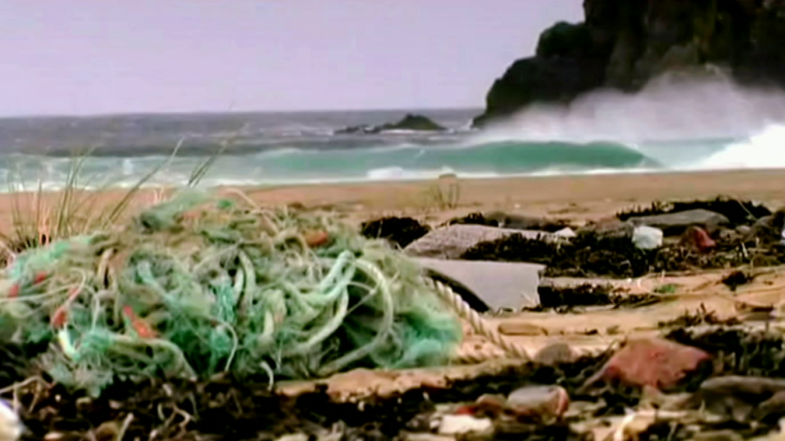 That's English - Module 4 - Unit 7B: Do you recycle? - ver ahora