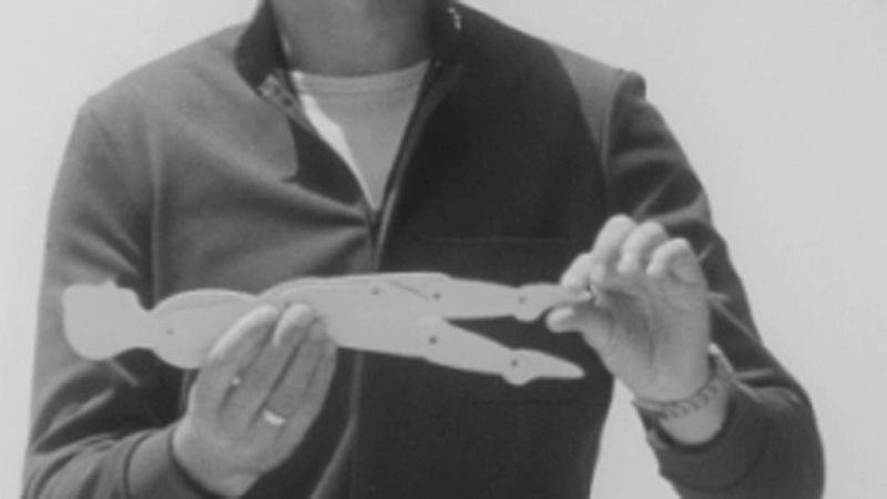 Lecciones con... Natación - La espalda - Lecciones con... Natación | Ver