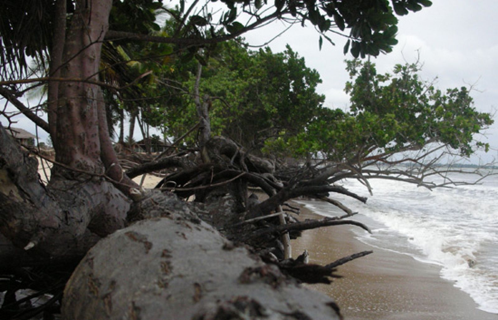Españoles en el mundo - Guinea Ecuatorial - Avance | Ver
