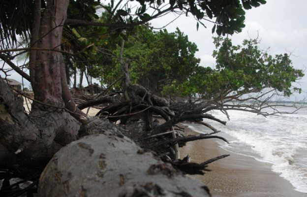 Españoles en el mundo - Guinea Ecuatorial - Avance