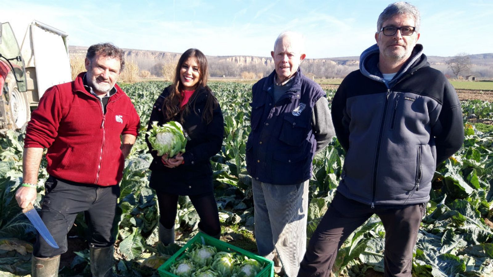 Coliflor, ¡todo queda en familia!