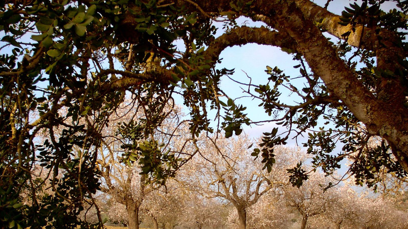 Valores térmicos por encima de los normales en esta época del año