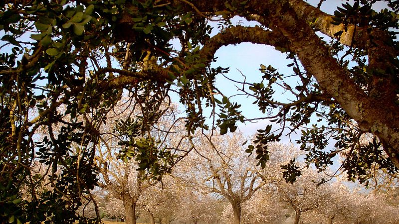 Valores térmicos por encima de los normales en esta época del año