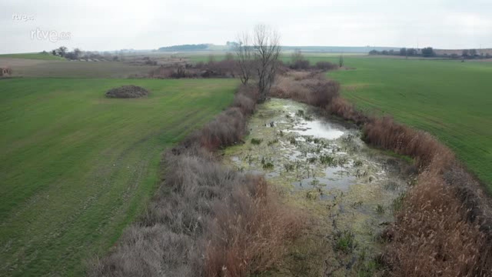 La cabecera del río Guadiana está en peligro - Modo Digital | Ver