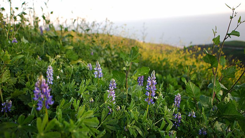 El Tiempo en la Comunidad de Madrid - 04/03/19 - ver ahora
