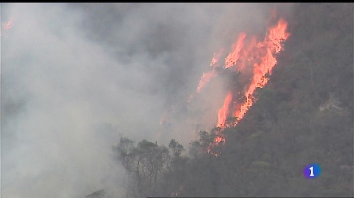 Panorama Regional - Panorama Regional - 04/03/19