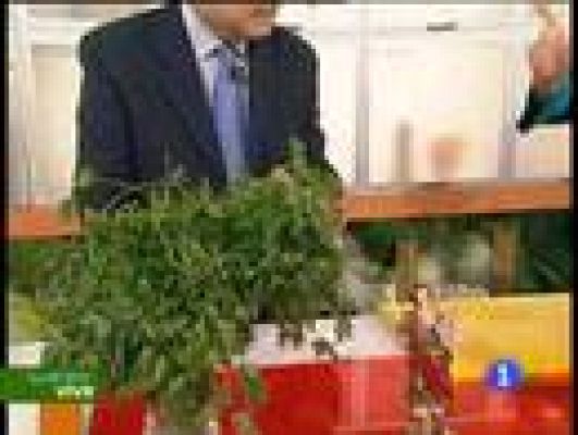  - Hepatitis y fibromialgia