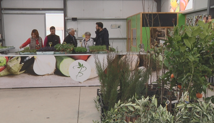 Aquí la Tierra - Semilleros, el origen de todo