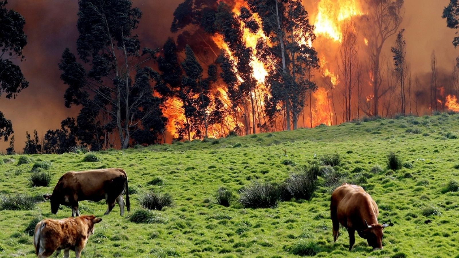 España Directo - 04/03/19 - ver ahora