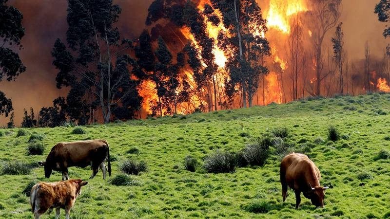 Una veintena de incendios continúan activos en Asturias y Cantabria
