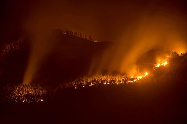 Telediario 1 - El 80% de los incendios ocurridos entre 2015 y 2017 en Asturias fueron intencionados