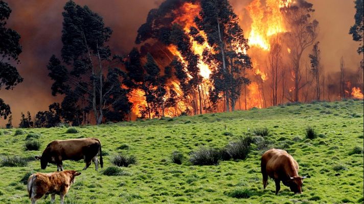 Telediario 1 - Telediario - 15 horas - 05/03/19