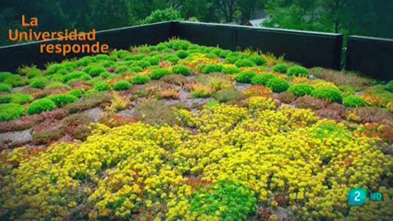 La Universidad Responde. Universidad Politécnica de Madrid: ¿Qué son las cubiertas vegetales? La aventura del saber