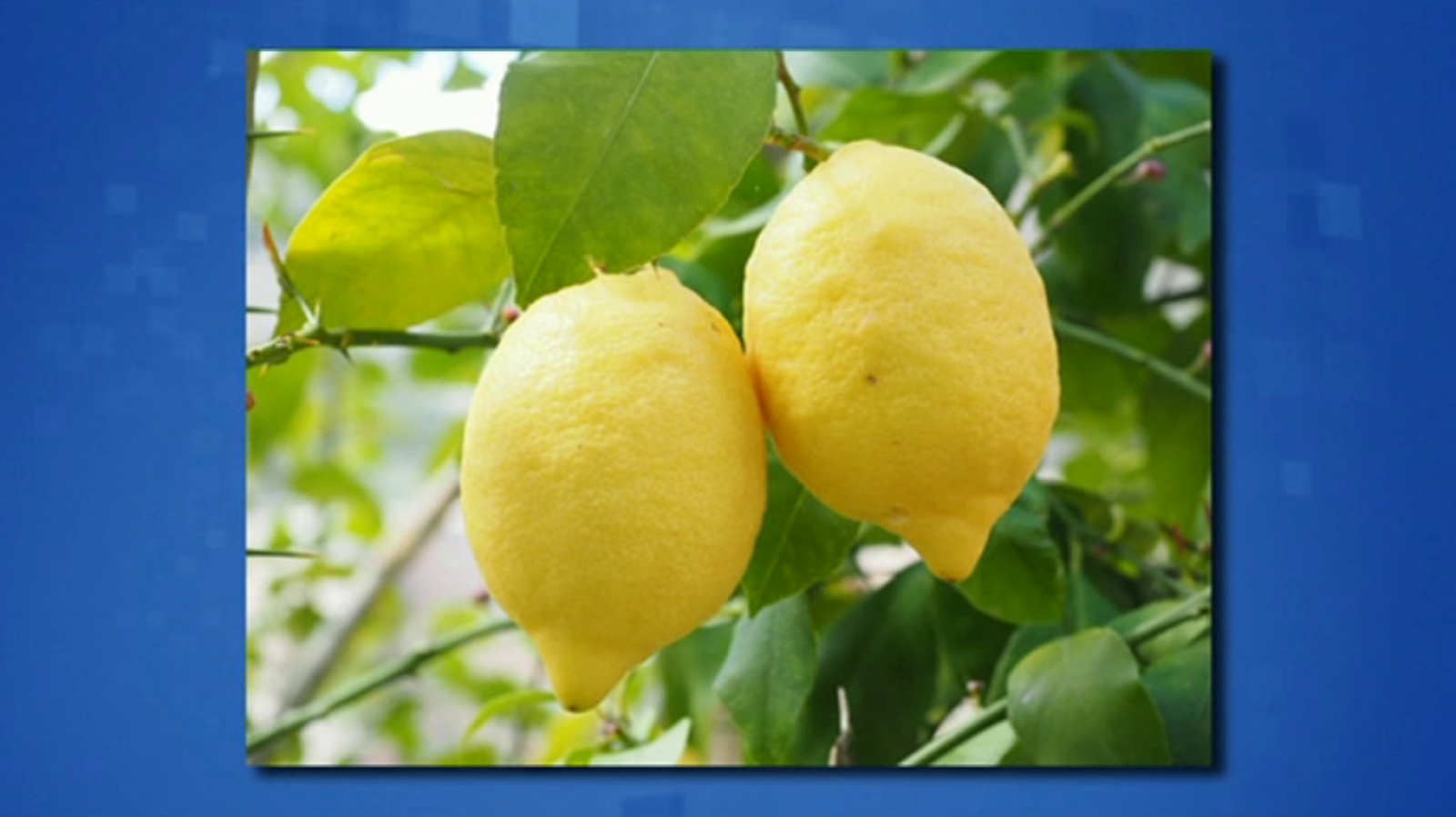 Saber y ganar - 05/03/19 - ver ahora