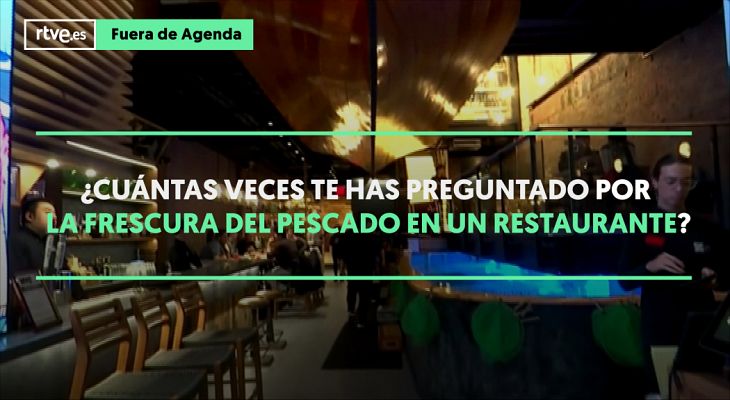 Modo Digital - El restaurante con el pescado más fresco