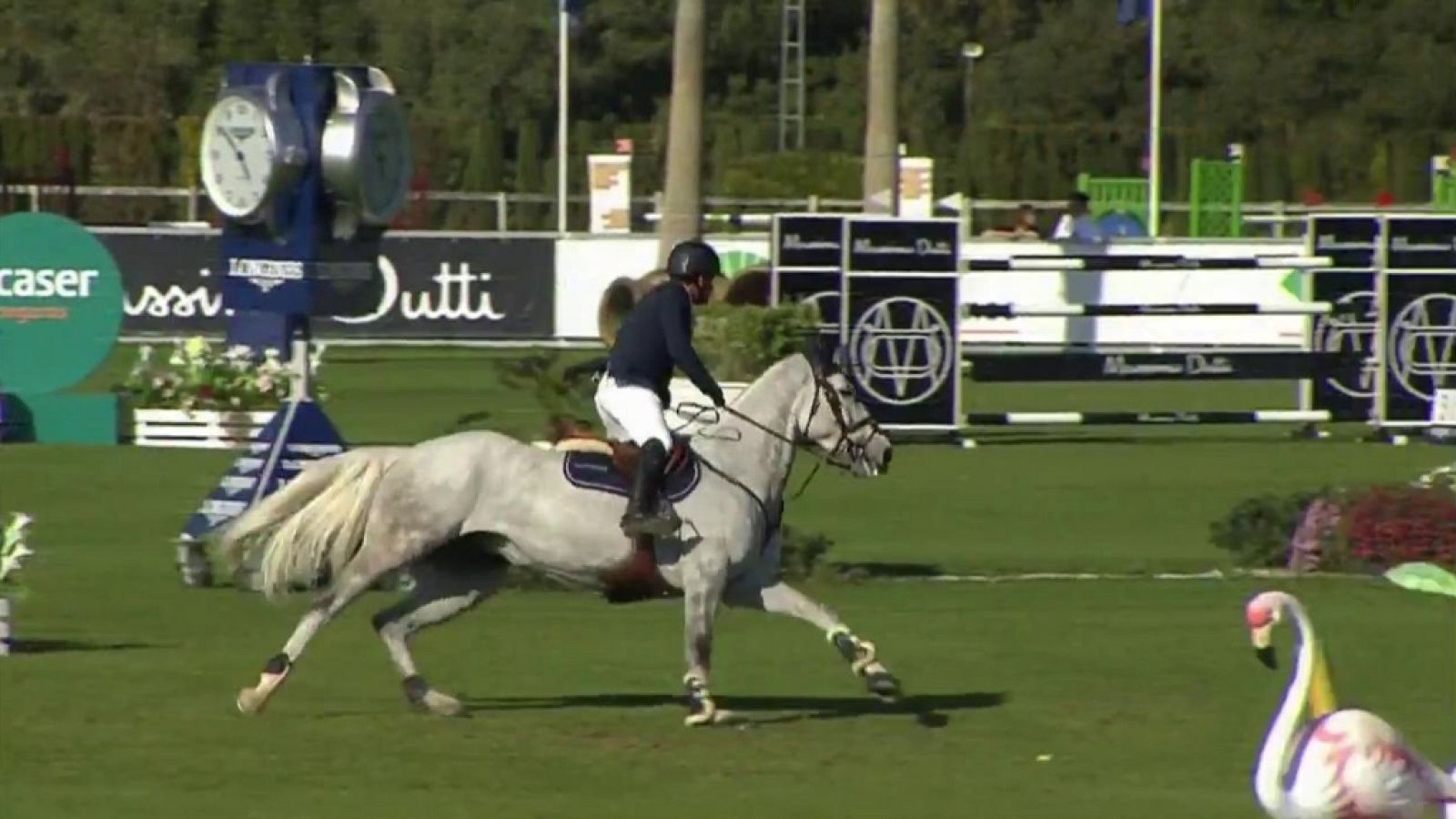 Hípica - Sunshine Tour Circuito Hípico del Sol (Semana 3) Resumen - ver ahora