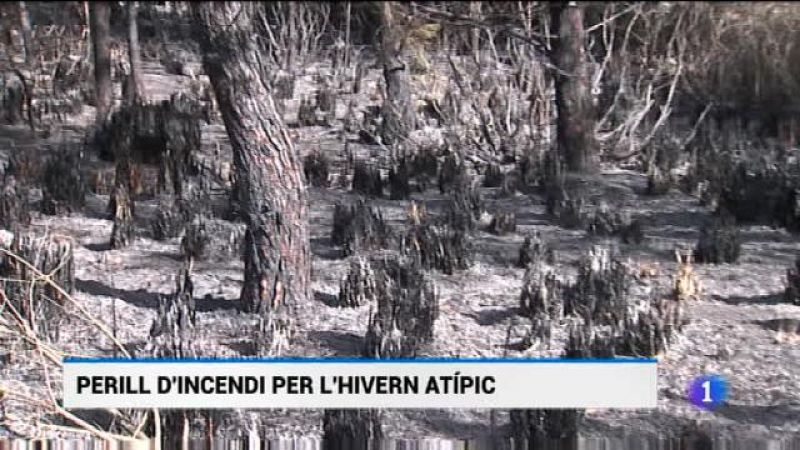 Informatiu Balear en 2' - 07/03/19