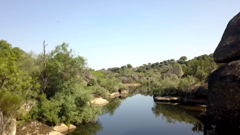 Crónicas - Días de uranio - ver ahora