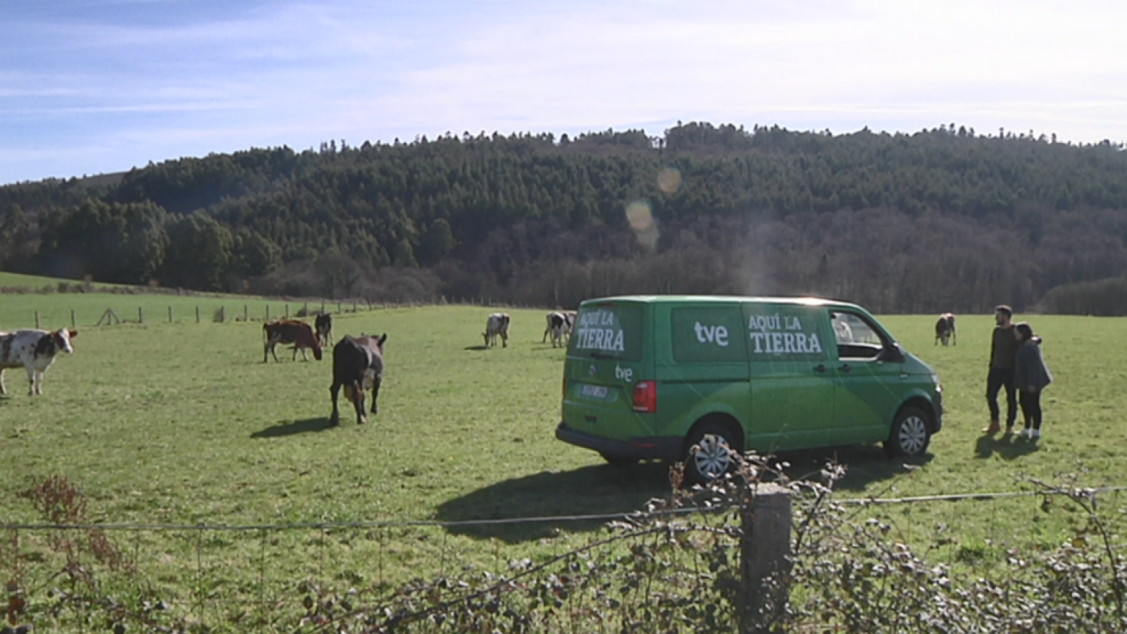Galmesano, palabras mayores