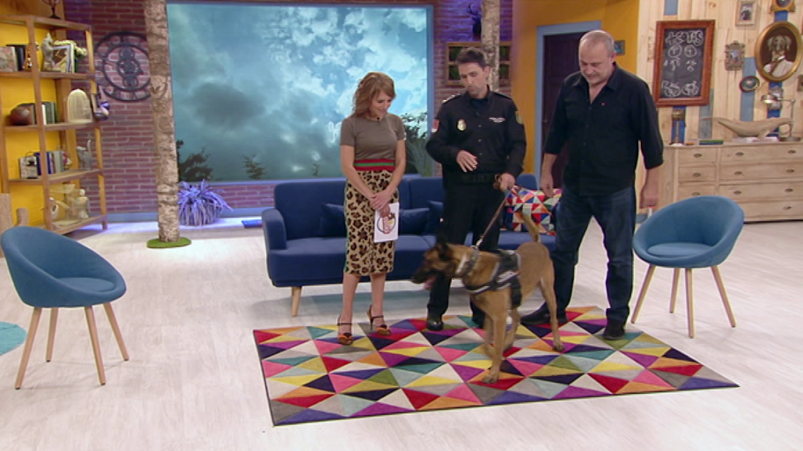 +Cotas - Programa 6 - ver ahora