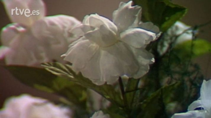 Teatre a l'Arxiu - El drama de les camèlies o el mal que fa el teatre