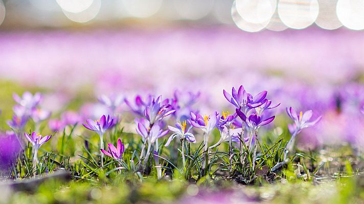 Informativo de Madrid - El Tiempo en la Comunidad de Madrid - 12/03/19