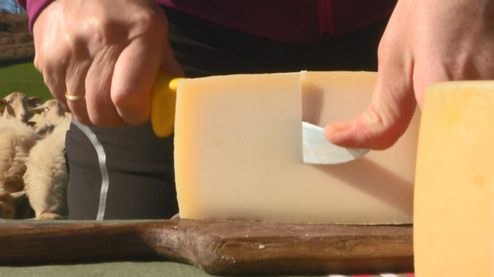 Aquí la Tierra - Los súperquesos de la oveja latxa