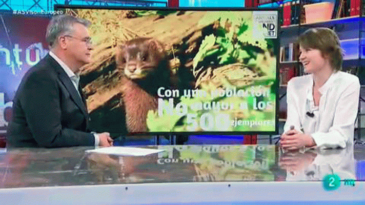 La aventura del Saber - Con Laura Moreno, para hablar del visón europeo