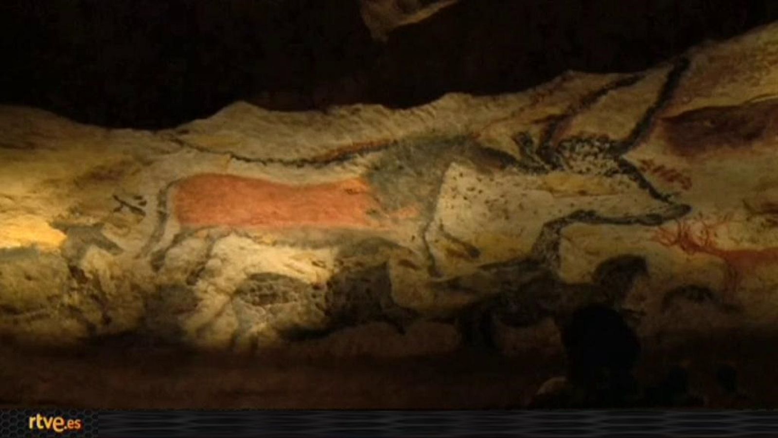 La tarde en 24 horas - La Barra - Ciencia - 12/03/19 - ver ahora