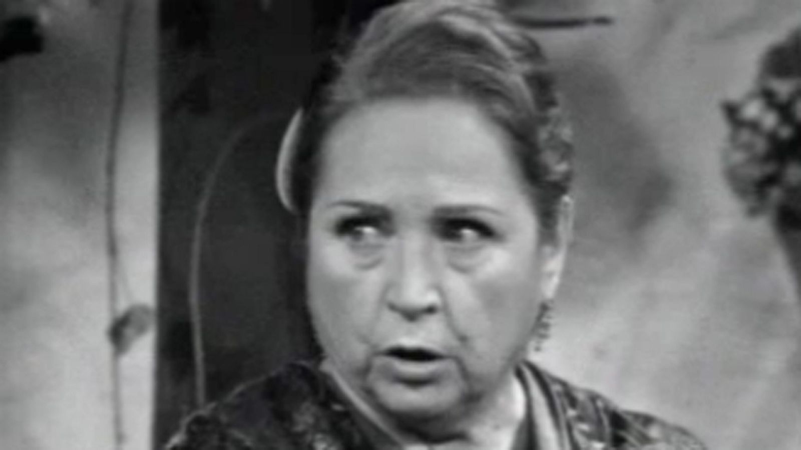 Estudio 1 - Las flores - Estudio 1 | Ver