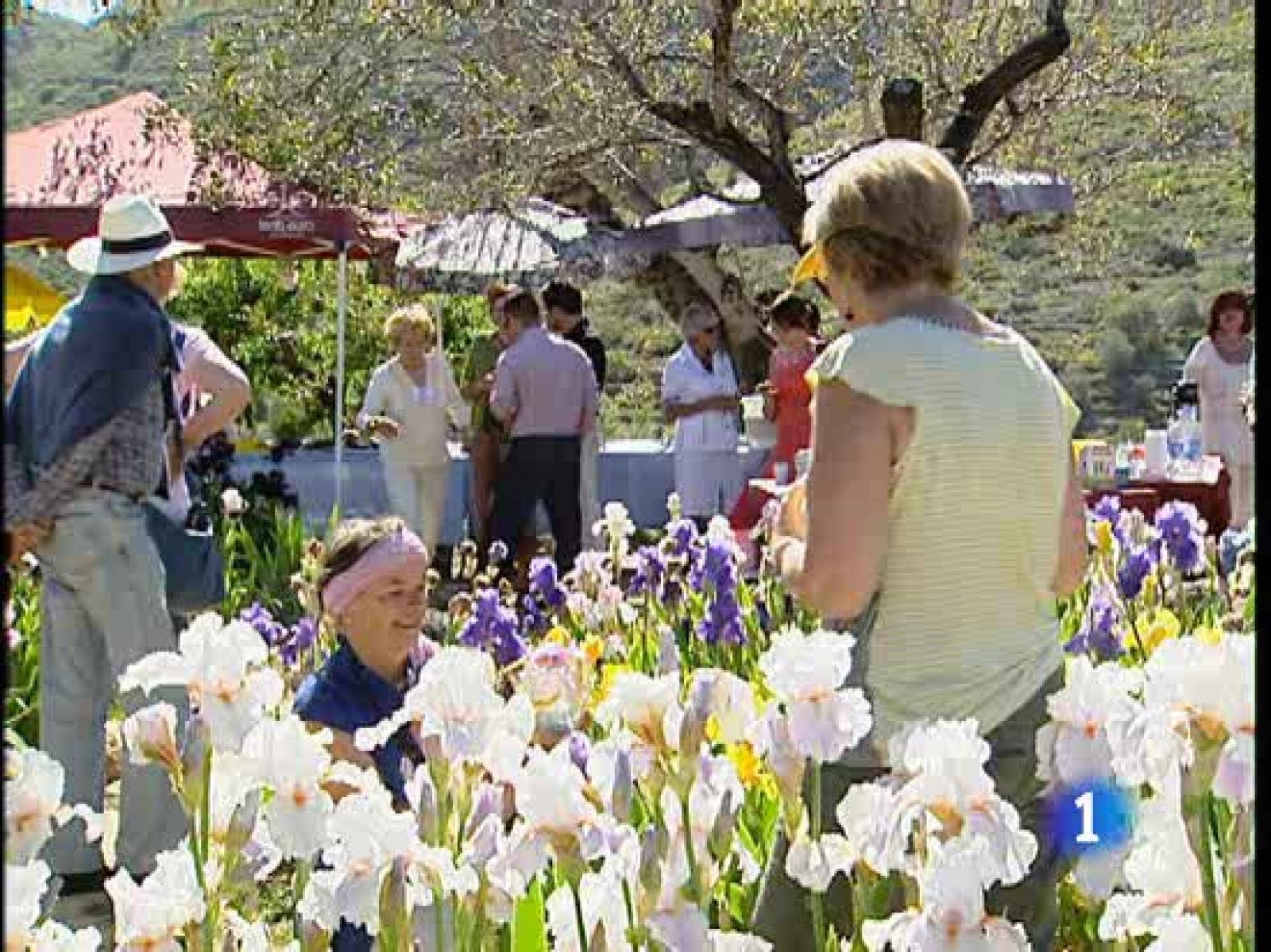 La colonia británica de Alicante proporciona cadáveres a la Universidad de la ciudad - Ciencia y tecnología en Rtve.es | Ver