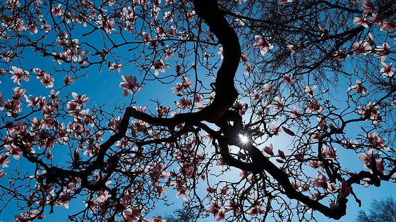 El Tiempo en la Comunidad de Madrid - 14/03/19 - ver ahora