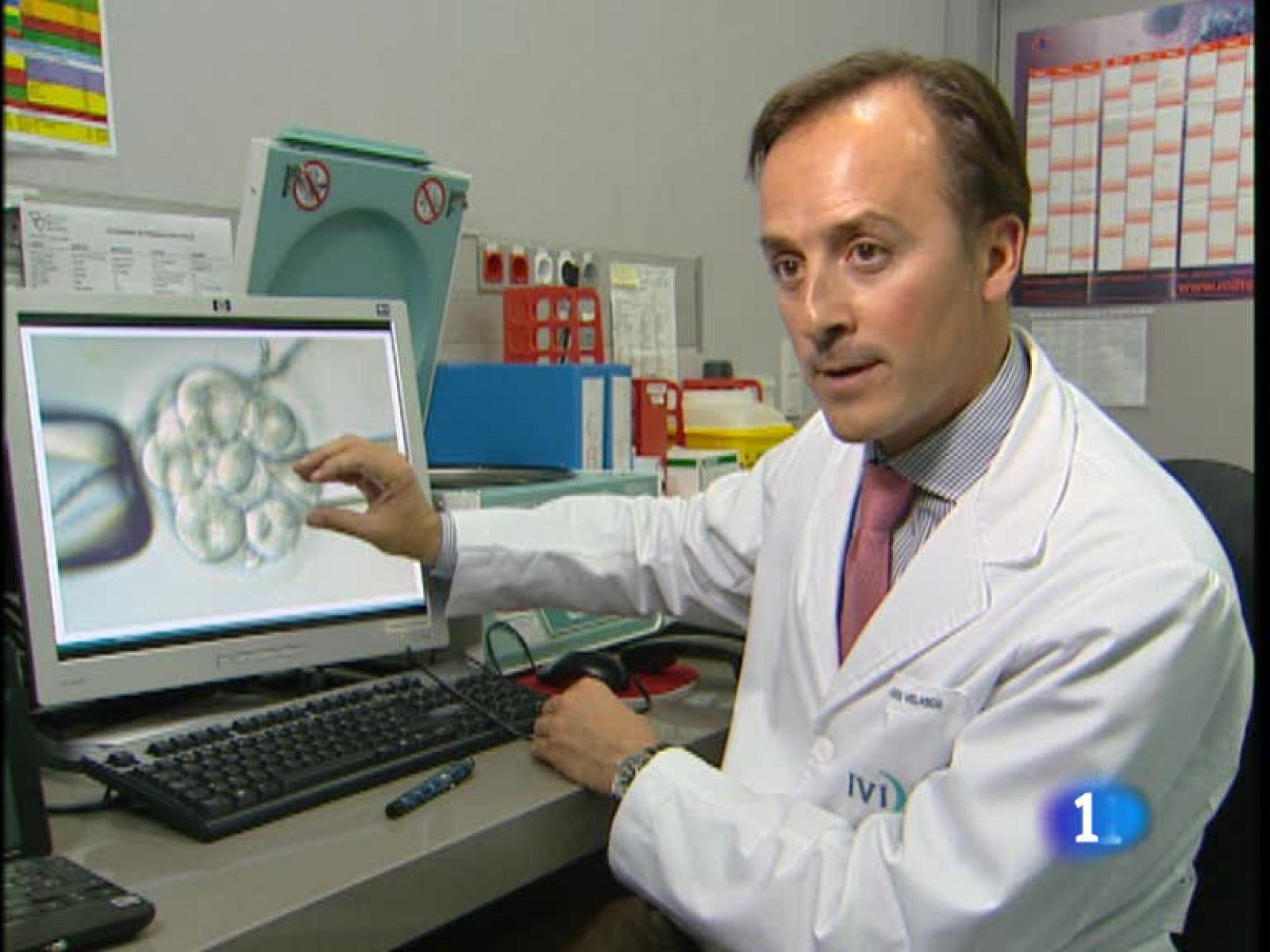 Investigan nuevas técnicas de reproducción asistida