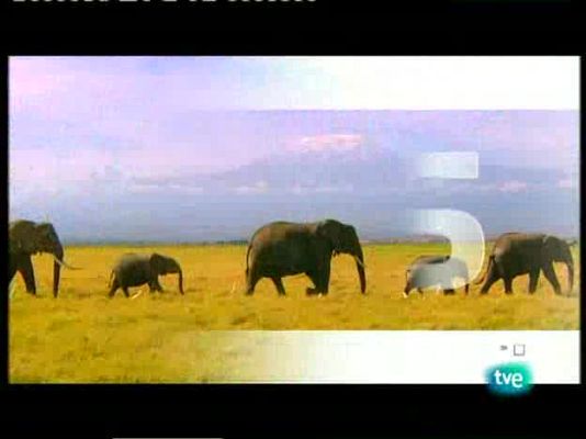 Paraísos cercanos - Madeira, la isla verde