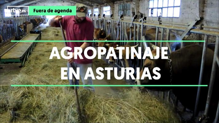 Modo Digital - Una cuadra con mucha marcha