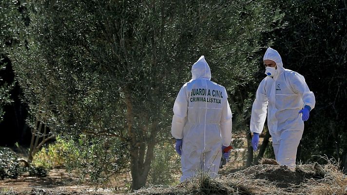 L'informatiu - Comunitat Valenciana - L'Informatiu - Comunitat Valenciana 2 - 15/03/19