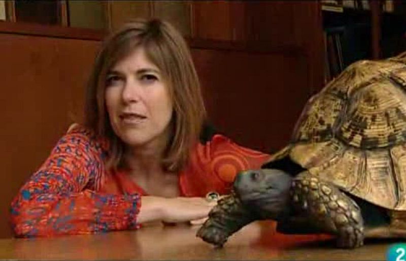 El escarabajo verde - Ciclo Darwin - IV - El escarabajo verde | Ver