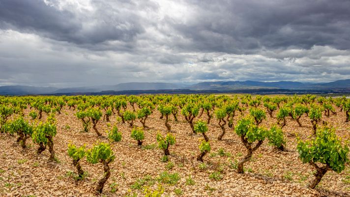 El tiempo - Cielos despejados salvo en el Cantábrico oriental y norte de Navarra