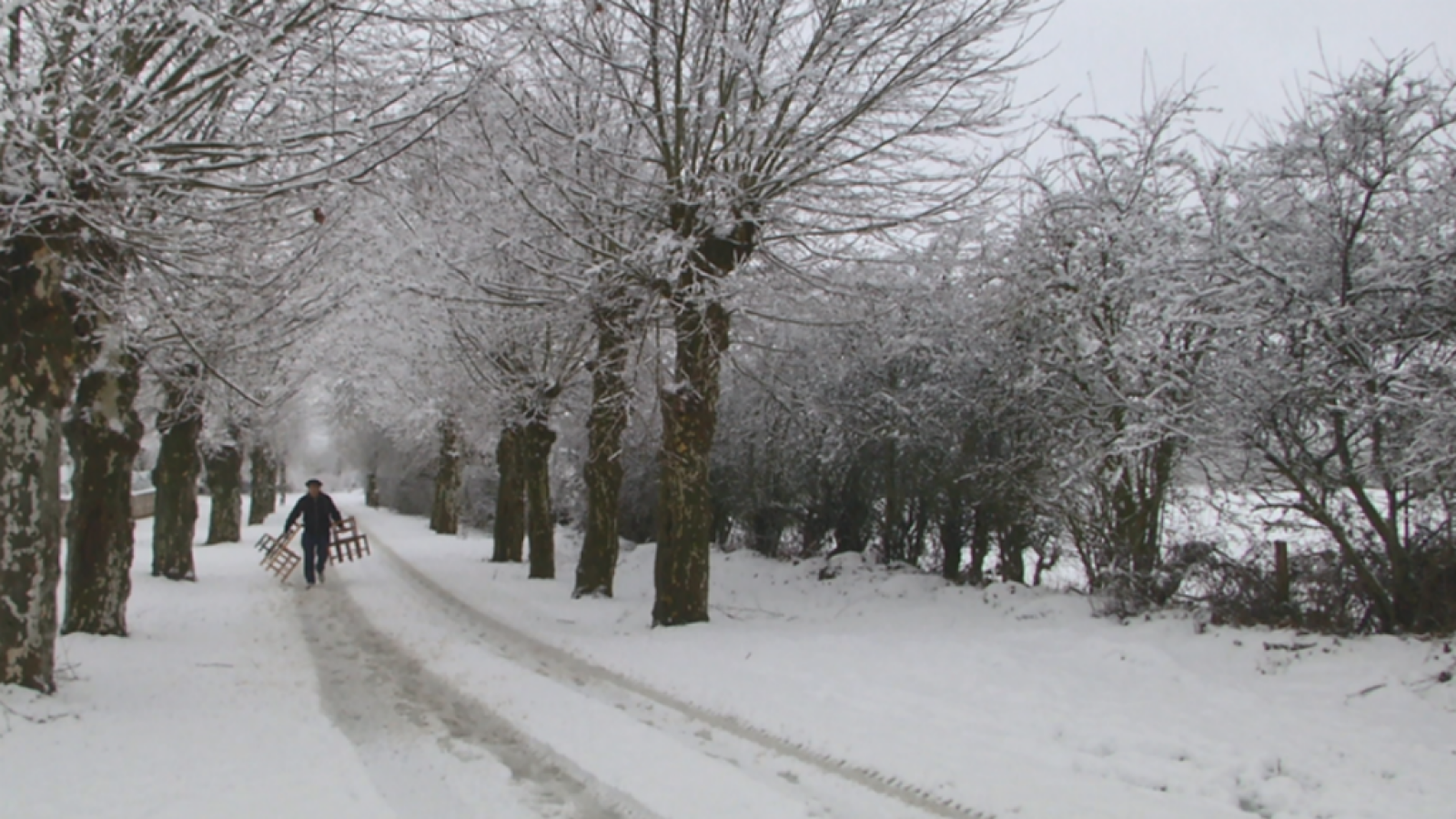 En Burguete sientan "cátedra"
