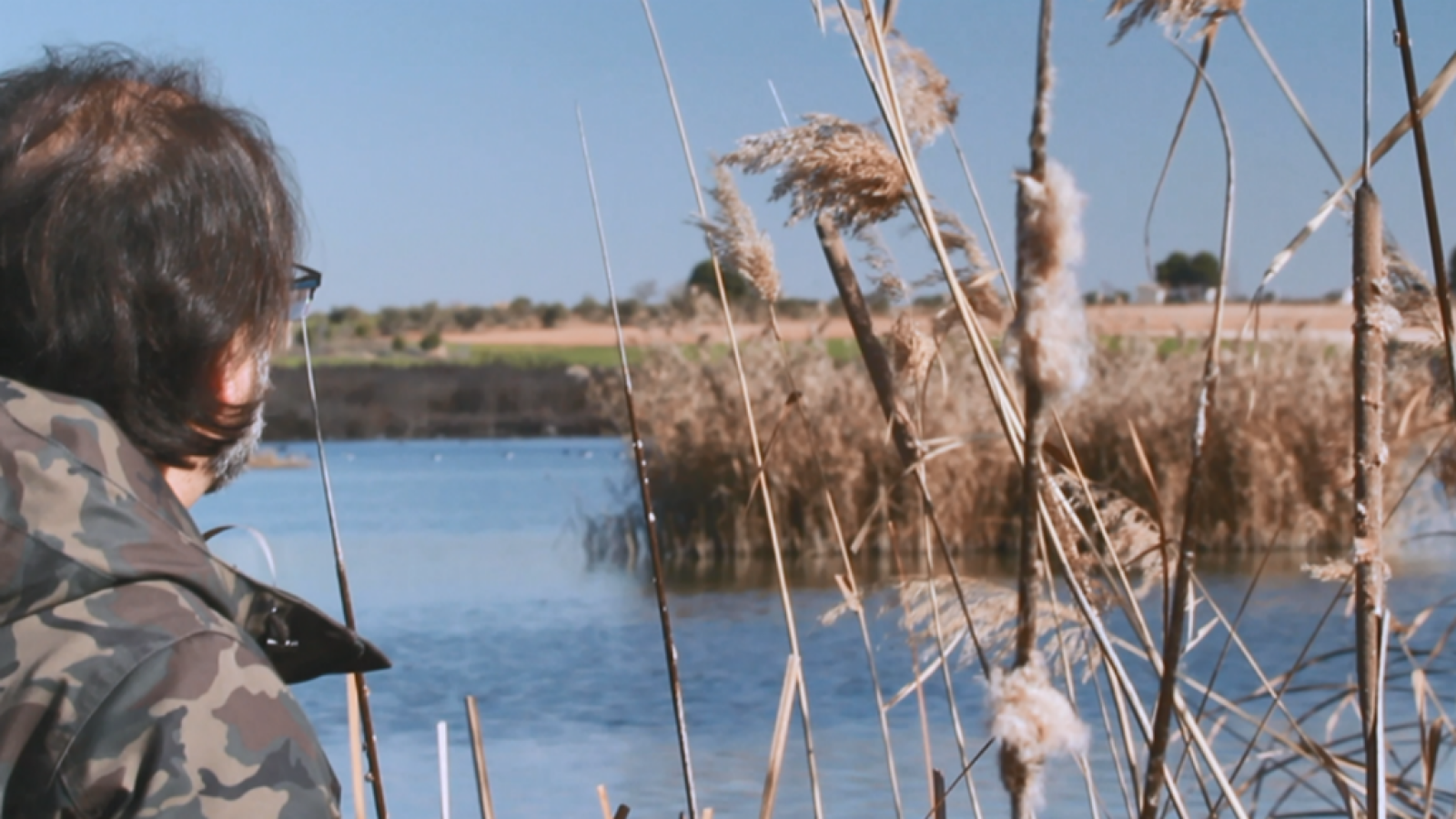 Laguna de Navaseca, un paraíso para las aves