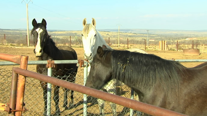 Agrosfera - Agrosfera - 16/03/19