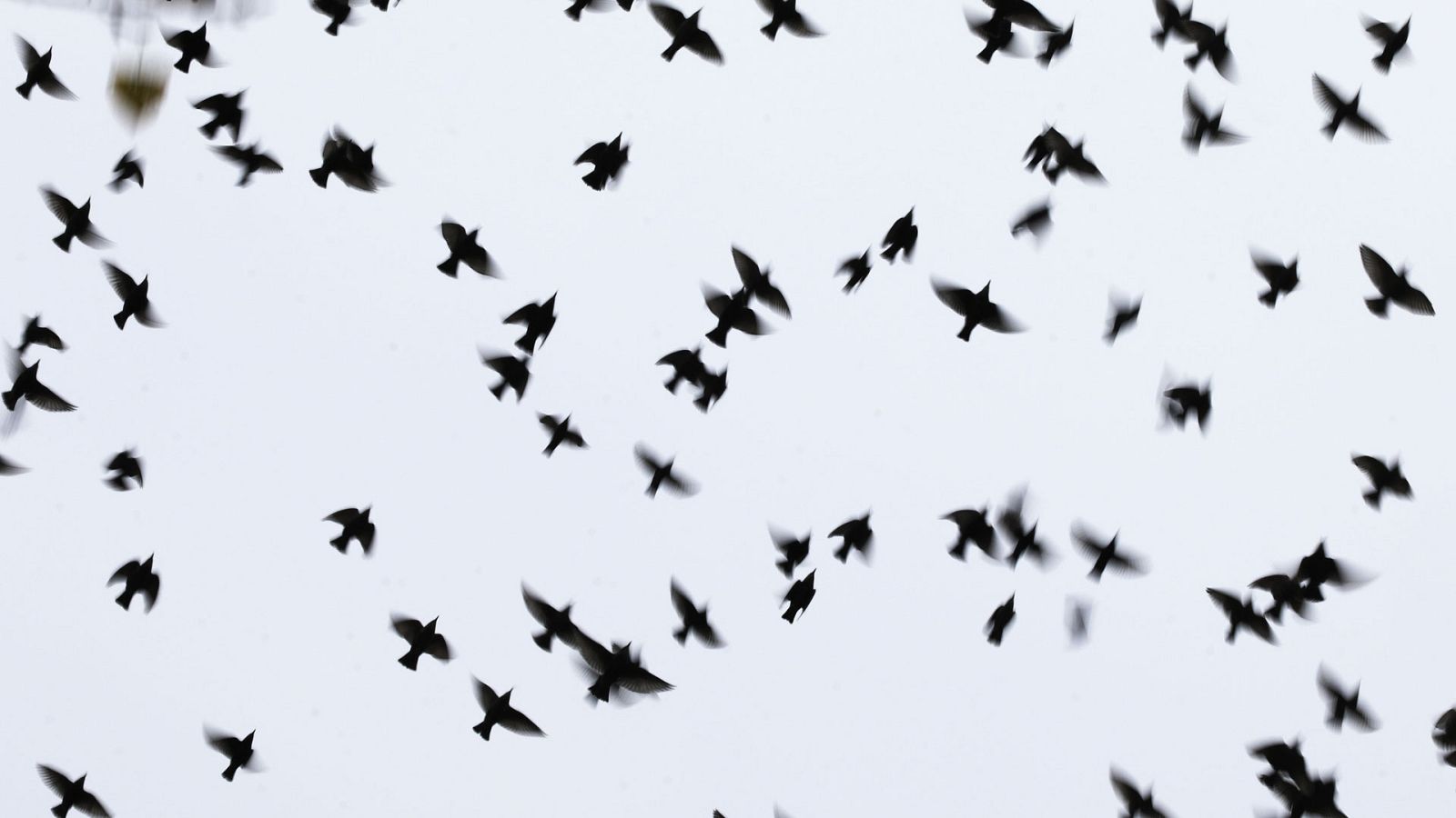 El Tiempo en la Comunidad de Madrid - 18/03/19 - ver ahora