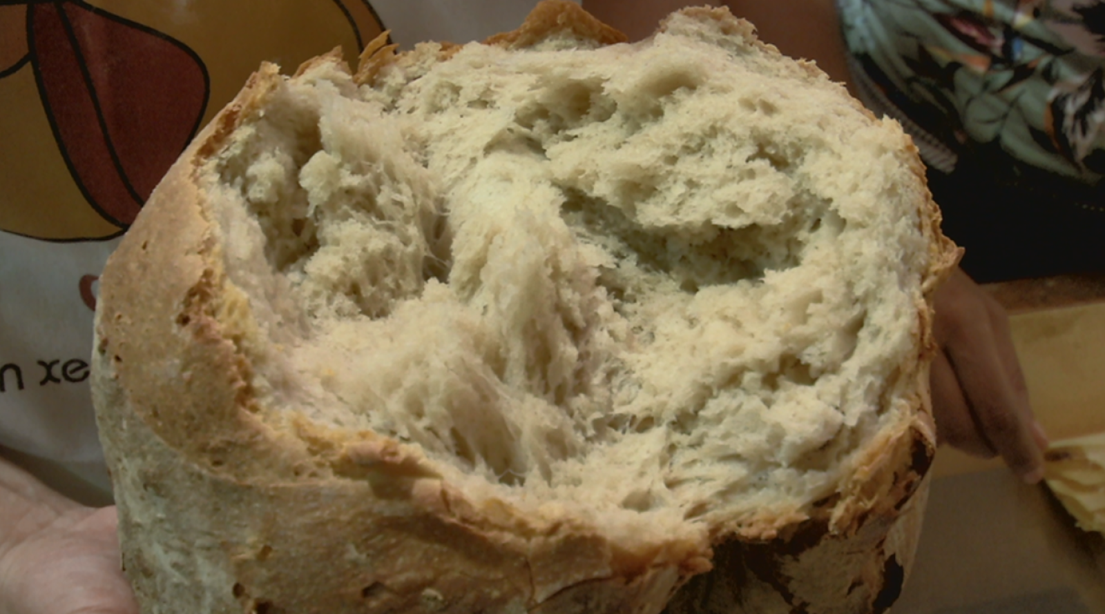 Aquí la Tierra - 18/03/19 - ver ahora