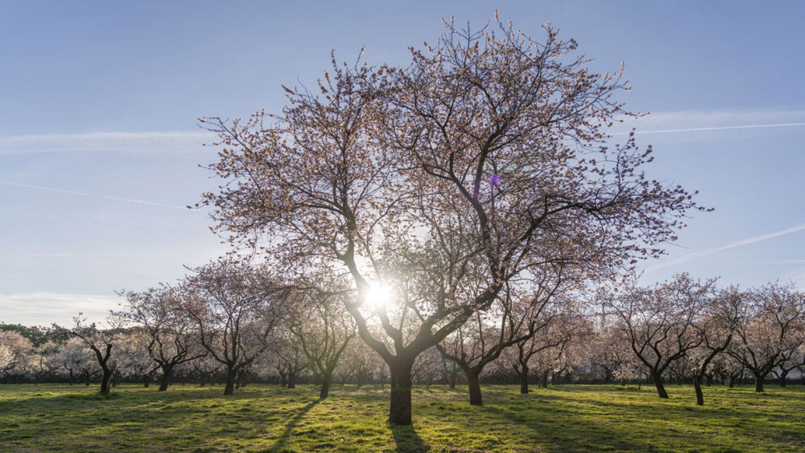 El Tiempo en la Comunidad de Madrid - 20/03/19 - ver ahora